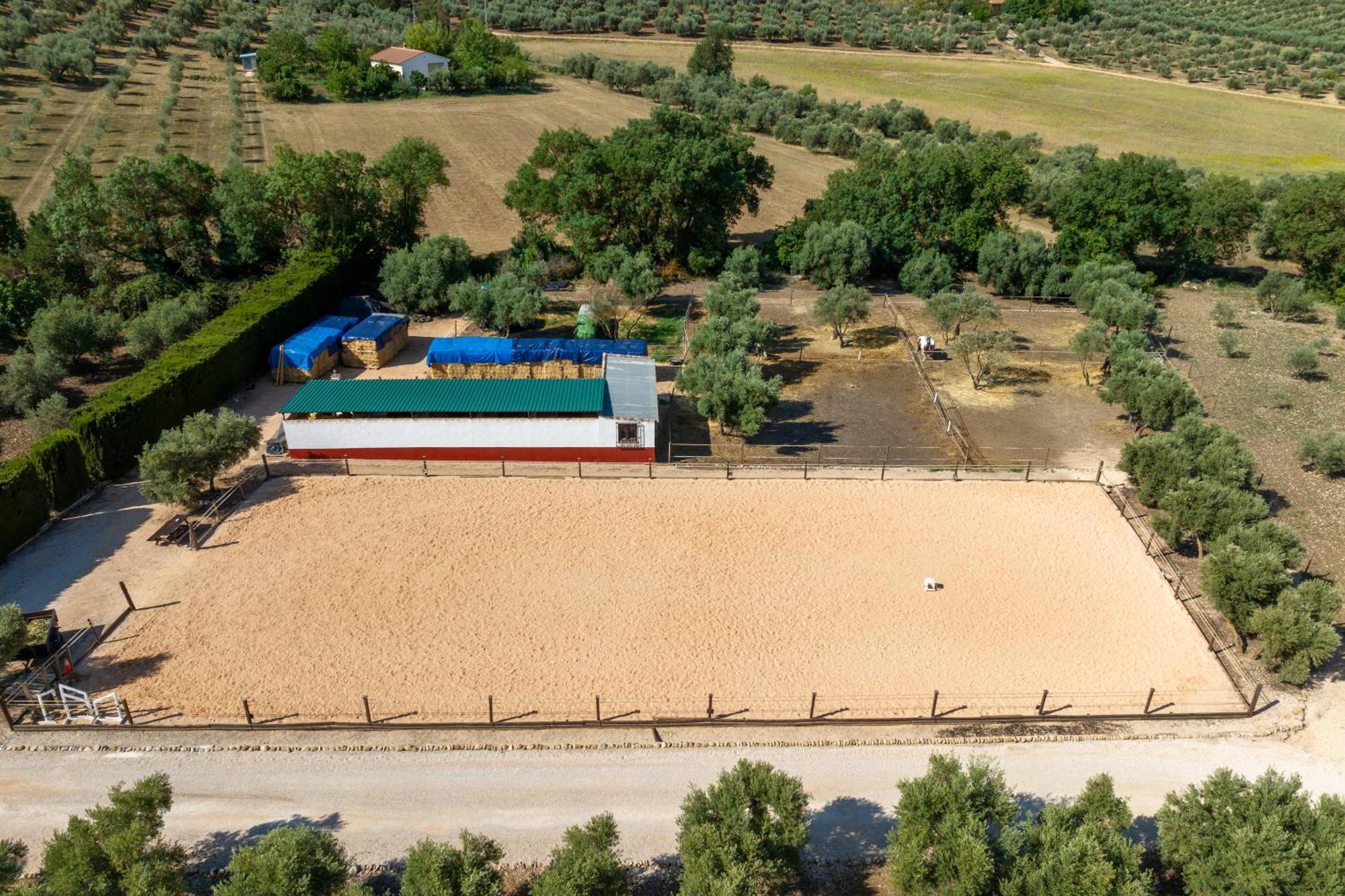Pasa Fina, Luxury Holiday Retreat Villanueva del Trabuco Eksteriør bilde